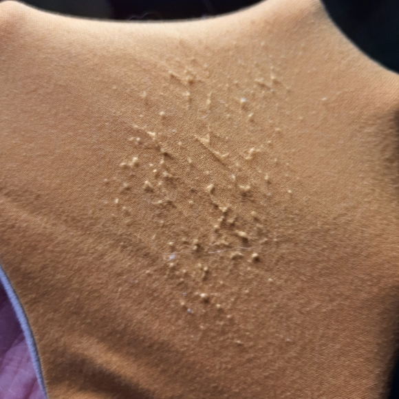 Ardene Basic Mustard Yellow Short-Sleeve T-shirt Womens Medium - Picture 3 of 3